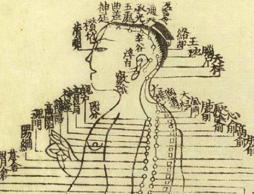 Preface to ‘Chinese Medicine: Philosophical Views on the Profession’