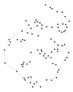 The Tianshi Constellation