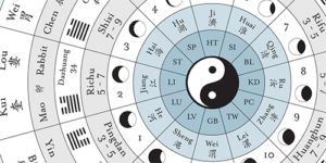 Macrocosmic Alchemy: The Hidden Code to Deciphering the Function of the Chinese Organ Networks