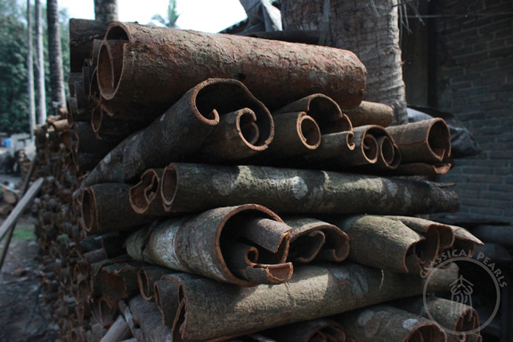 Stacked Rougui from 20-30 year old trees in Hekou, Yunnan