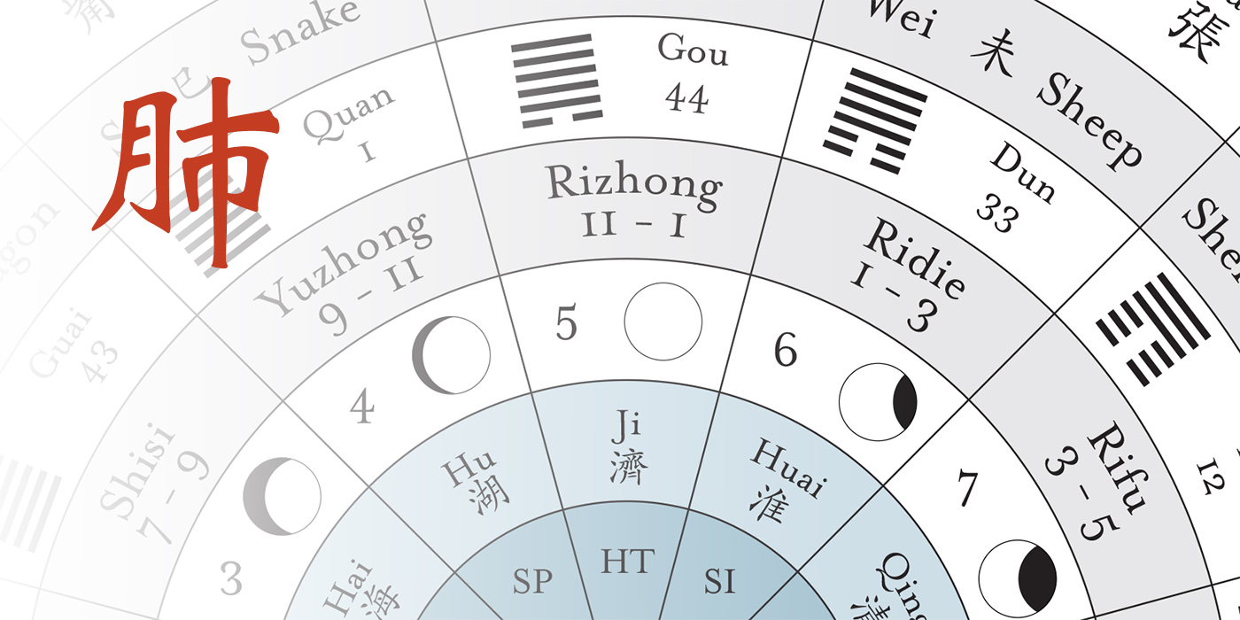 The Organ Networks of Chinese Medicine: Lung