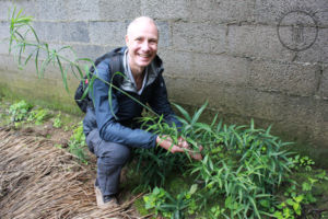 Heiner Fruehauf with a Polygonatum stalk growing in the garden of a local herb collector in Hunan Province