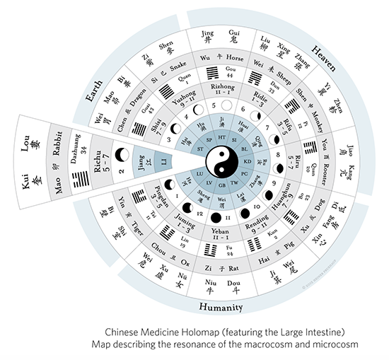 Chinese Medicine Holomap (featuring the Large Intestine): Map describing the resonance of the macrocosm and microcosm