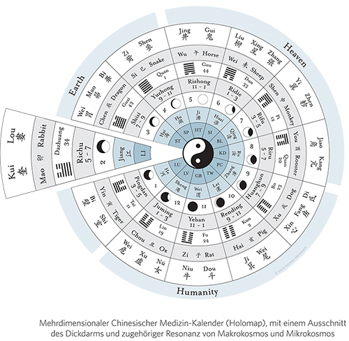 Mehrdimensionaler Chinesischer Medizin-Kalender (Holomap), mit einem Ausschnitt des Dickdarms und zugehöriger Resonanz von Makrokosmos und Mikrokosmos