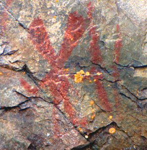 Piktogramm von Nanabozho, des „Großen Hasen“ am Mazinaw Felsen, Ontario