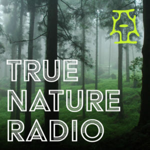 True Nature Radio