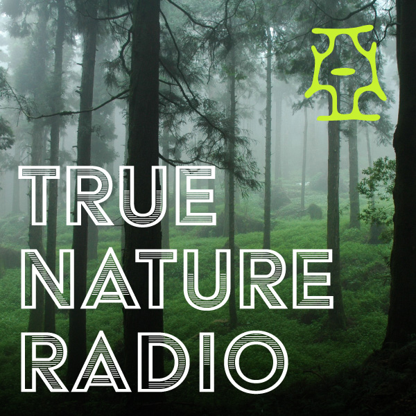 True Nature Radio branding image