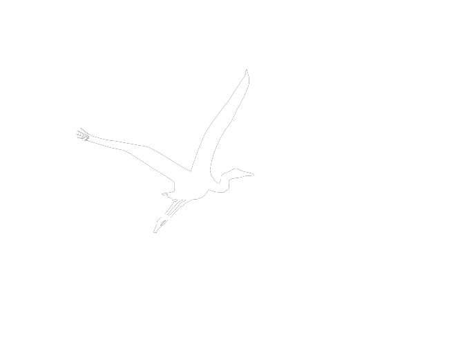 Heron Institute for Life Science