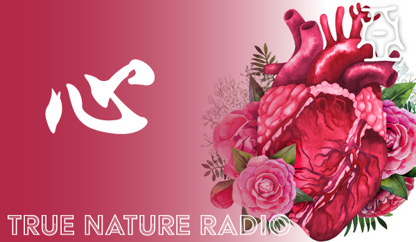 True Nature Radio - episode title image