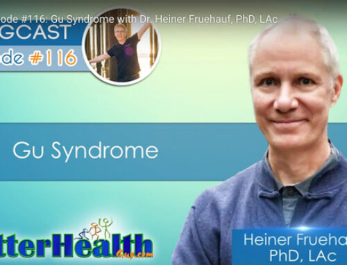 Gu Syndrome with Dr. Heiner Fruehauf, PhD, LAc (Episode #116)