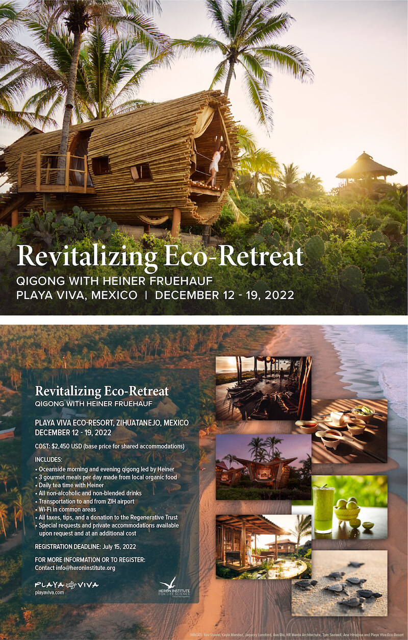 PlayaViva Revitalizing Eco-Retreat