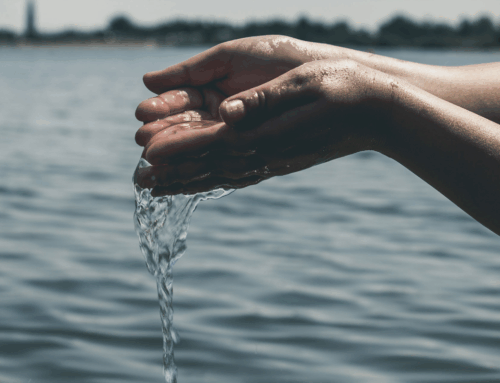 The Concept of Jing Essence and the Water Organs of Chinese Medicine (Part 1)