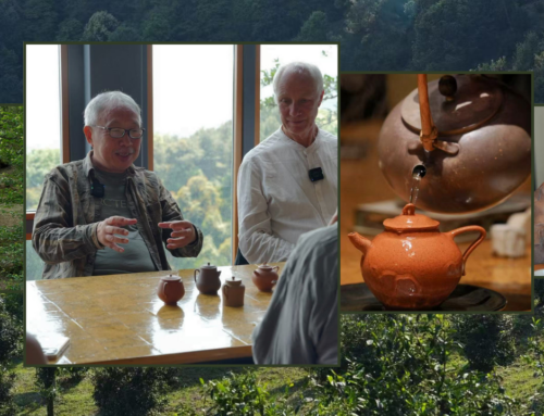 Ancient Leaves on Mt. Mengding: The Ultimate Tea Lecture by a Modern Literati Hermit (Part 1)